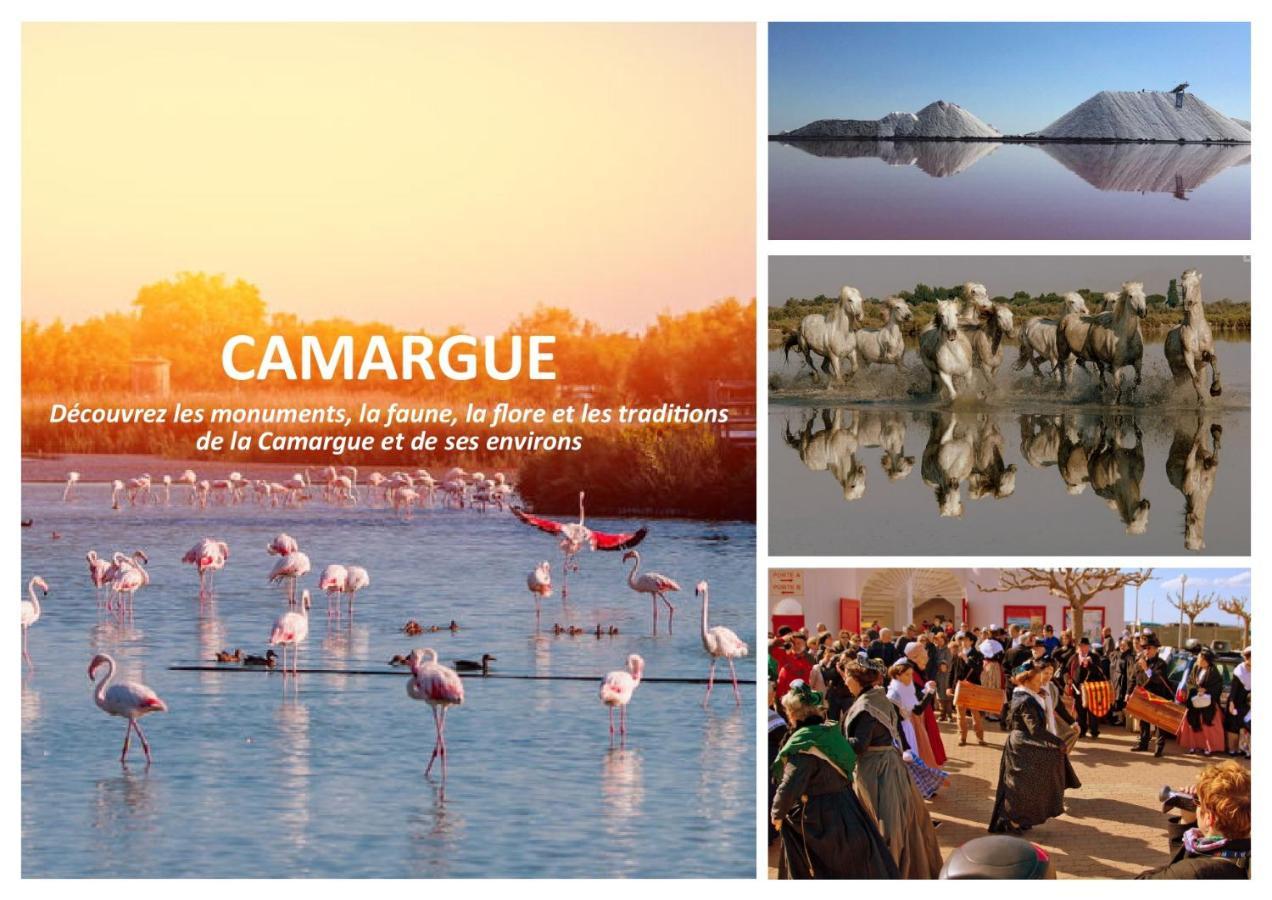 Le Mazet Sooksabai, Confort, Charme Et Decouverte En Petite Camargue Saint-Laurent-dʼAigouze Exteriér fotografie