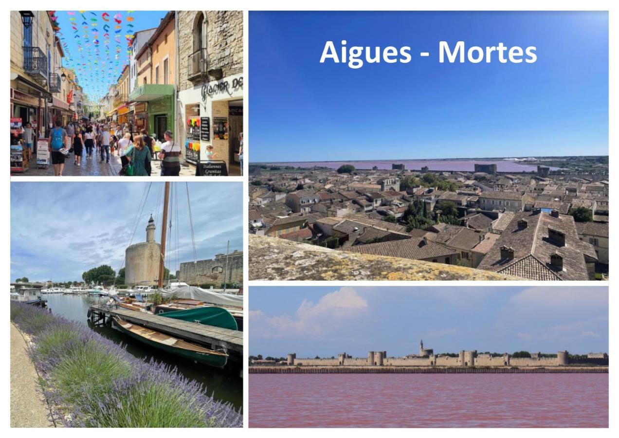 Le Mazet Sooksabai, Confort, Charme Et Decouverte En Petite Camargue Saint-Laurent-dʼAigouze Exteriér fotografie