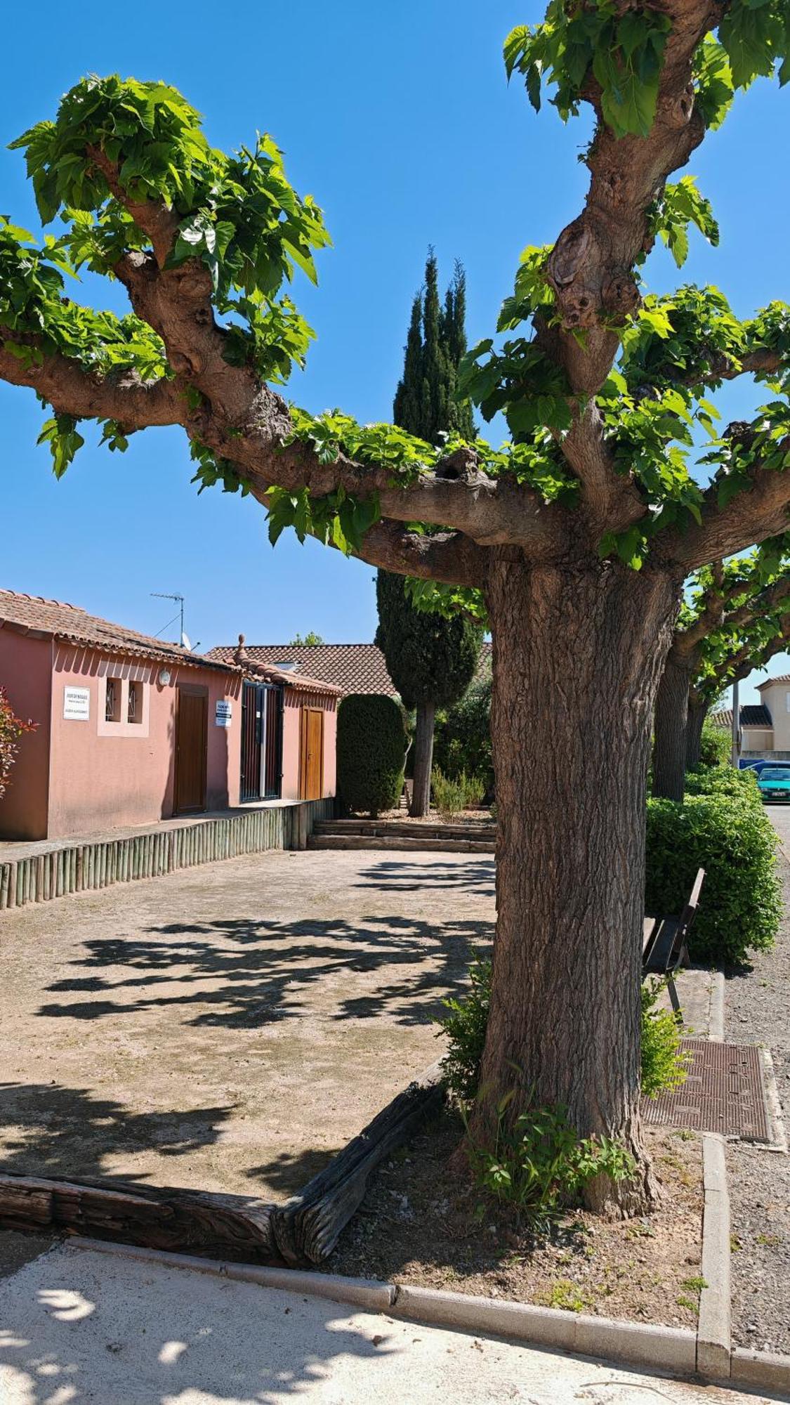 Le Mazet Sooksabai, Confort, Charme Et Decouverte En Petite Camargue Saint-Laurent-dʼAigouze Exteriér fotografie